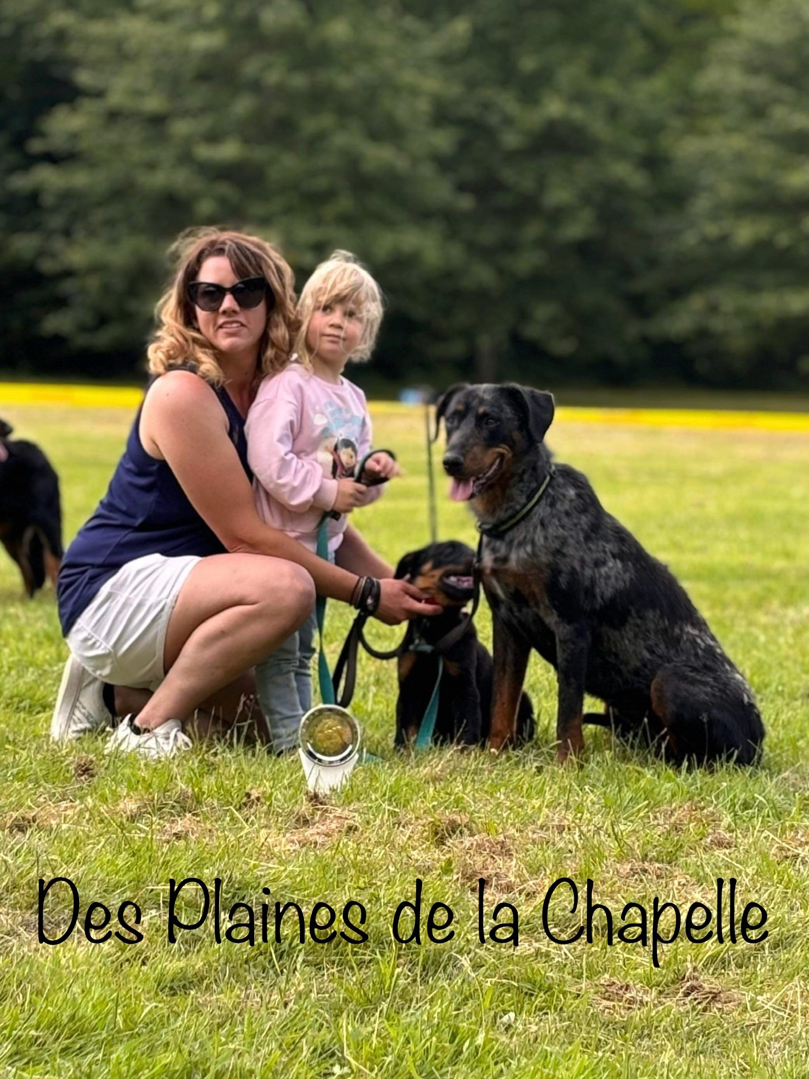 des Plaines de la Chapelle