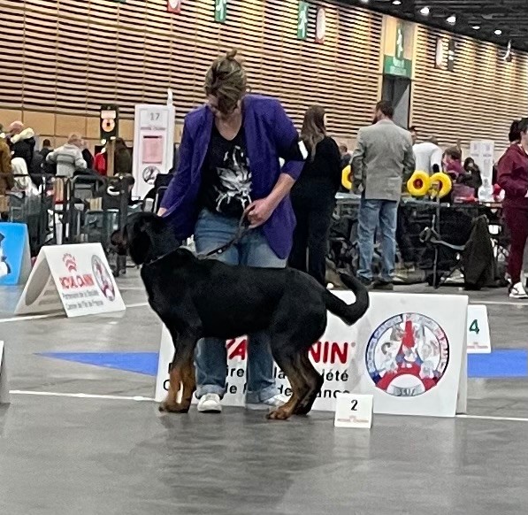 Résultat Paris Dog show 