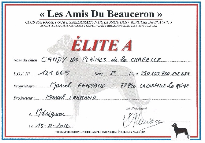 des Plaines de la Chapelle - CANDY ELITE A